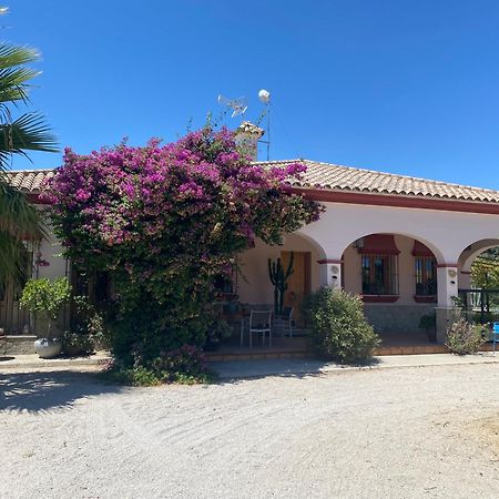 Villa Entre Mer Et Montagne Arcos de la Frontera Esterno foto