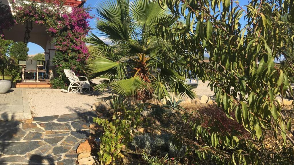 Villa Entre Mer Et Montagne Arcos de la Frontera Esterno foto