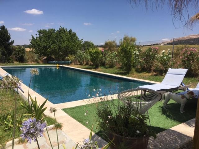 Villa Entre Mer Et Montagne Arcos de la Frontera Esterno foto