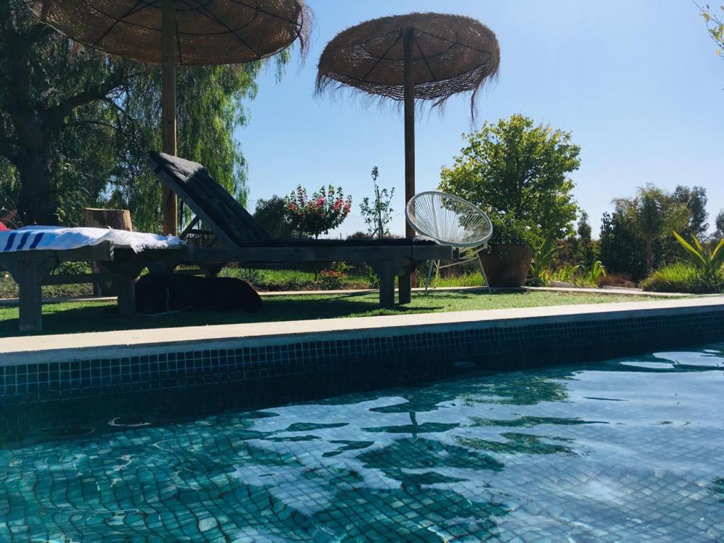 Villa Entre Mer Et Montagne Arcos de la Frontera Esterno foto