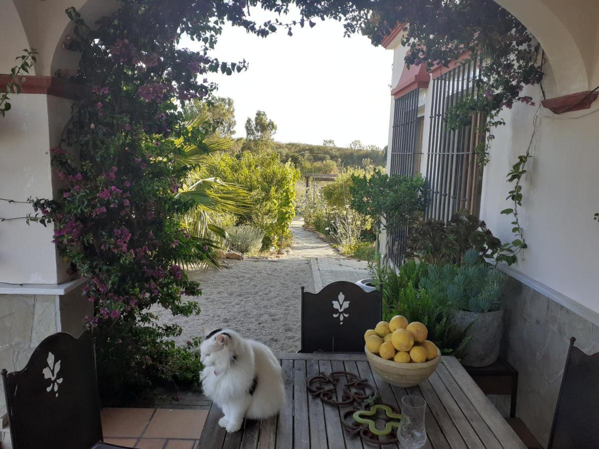 Villa Entre Mer Et Montagne Arcos de la Frontera Esterno foto