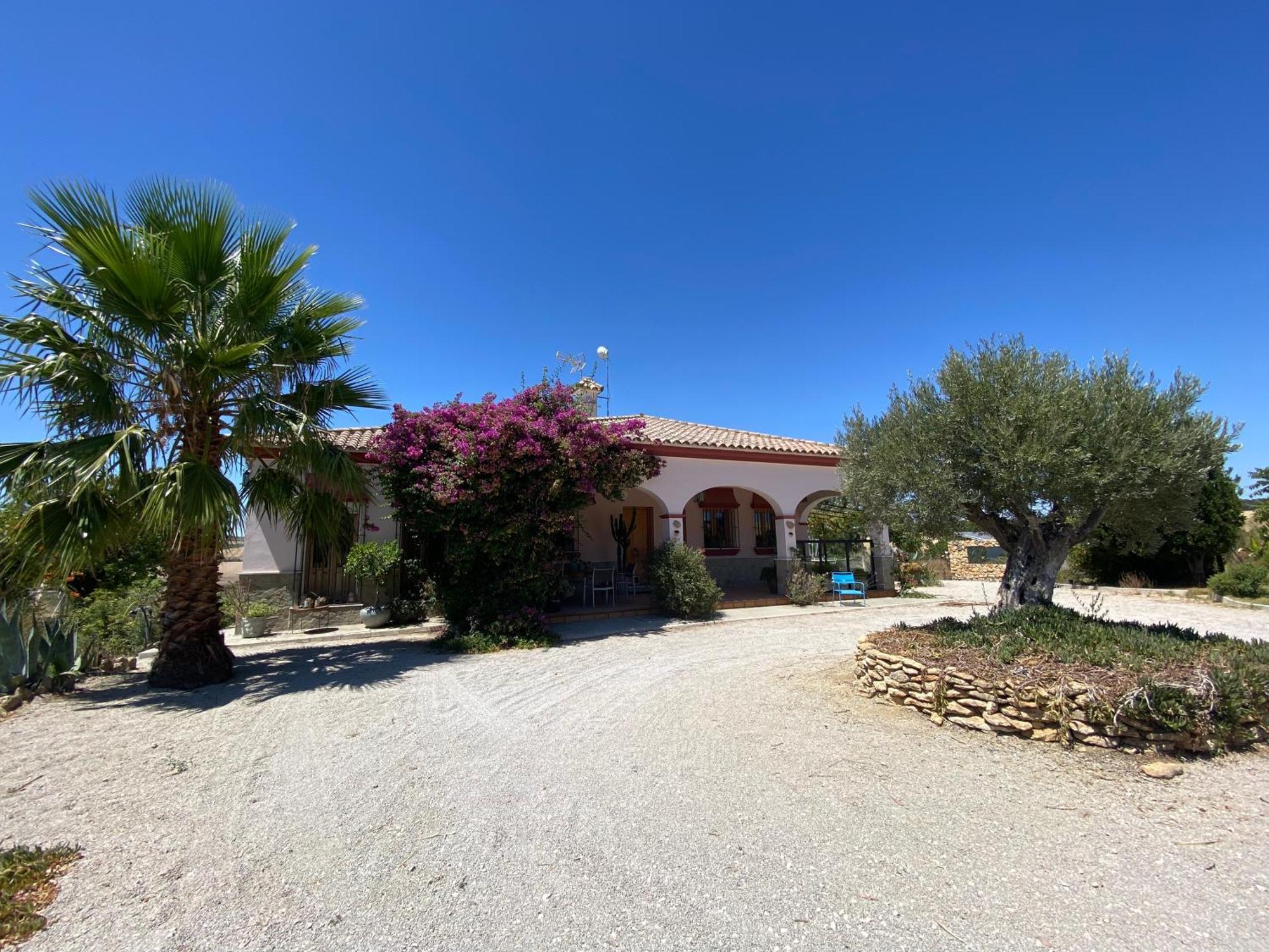 Villa Entre Mer Et Montagne Arcos de la Frontera Esterno foto